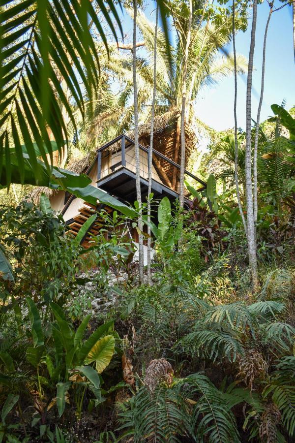 Villa Bohemia Experience à Playa Santa Teresa  Extérieur photo
